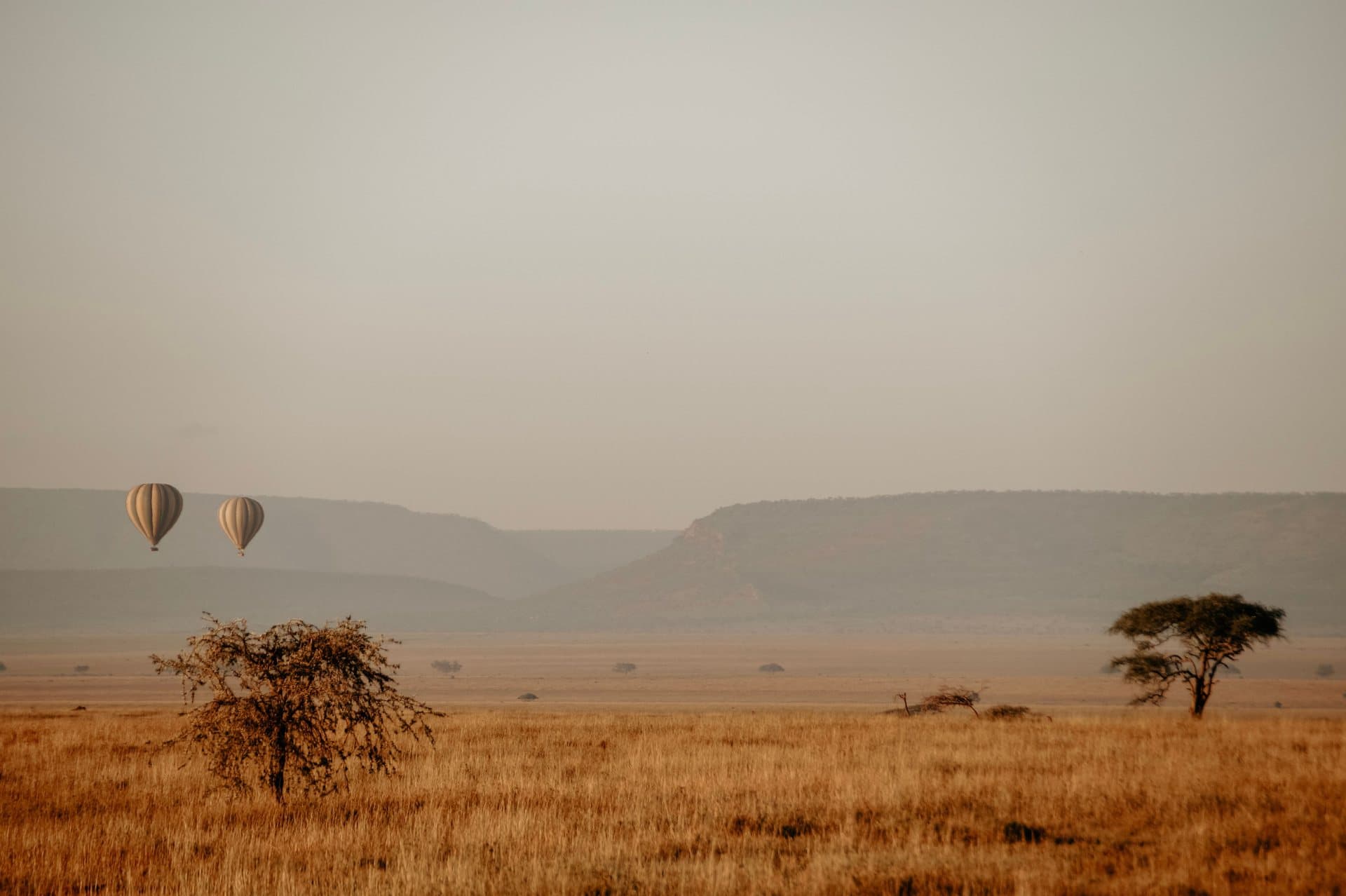 Deux montgolfieres au-dessus du Serengeti a l'aube